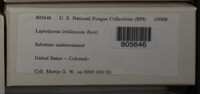Image Associated With the Occurence